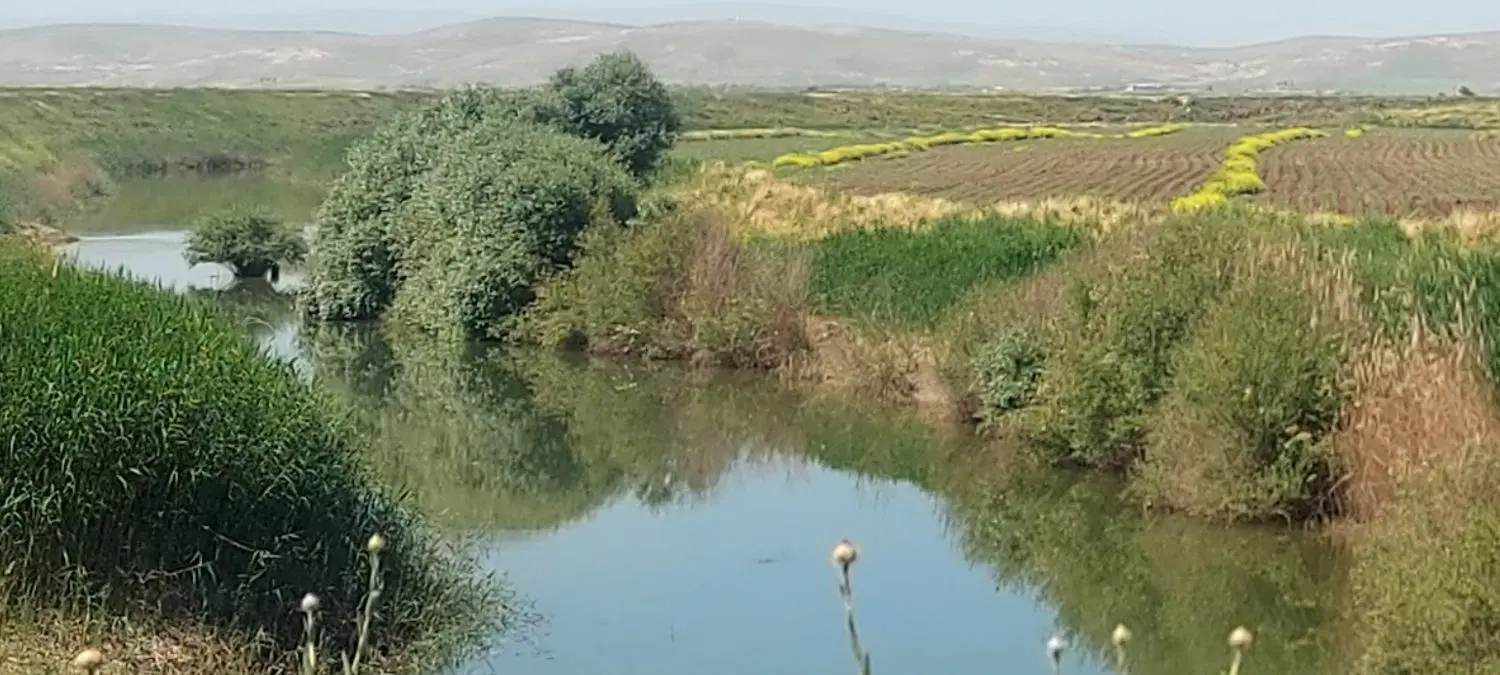 ۵ هکتار زمین کشاورزی سنددار(سیستم آبیاری تحت فشار)