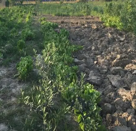 فروش زمین بر خط اصلی...