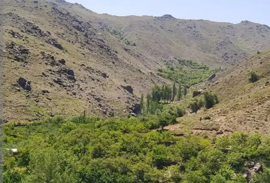 انواع زمین و باغ