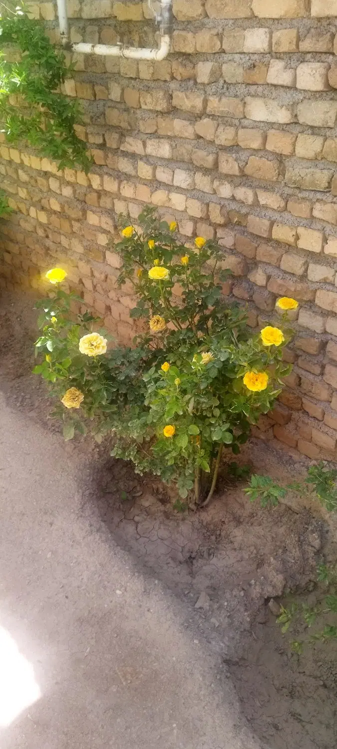 خونه ویلایی در روستای احمدآبادکاظم
