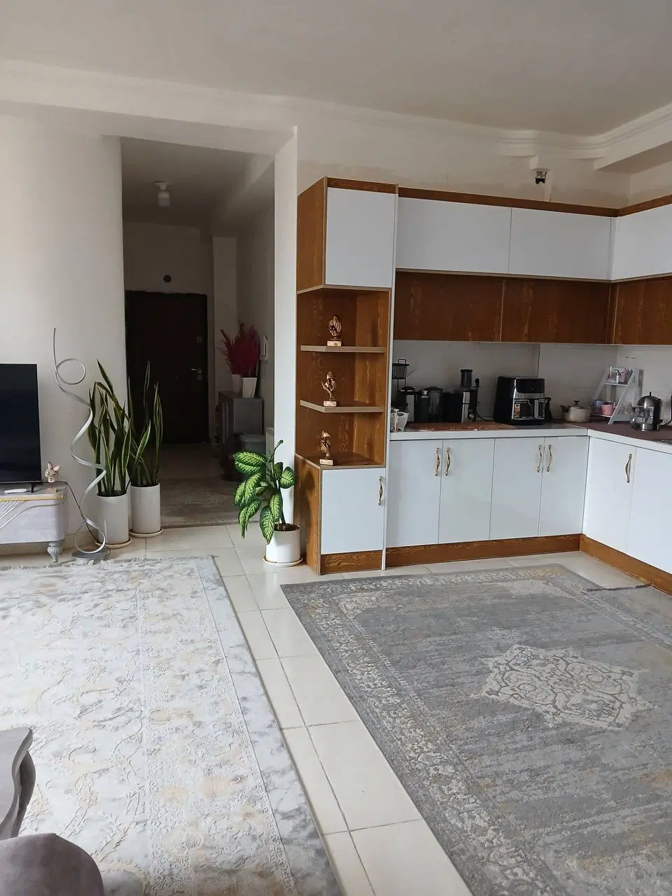 آپارتمان دو خوابه کشوری