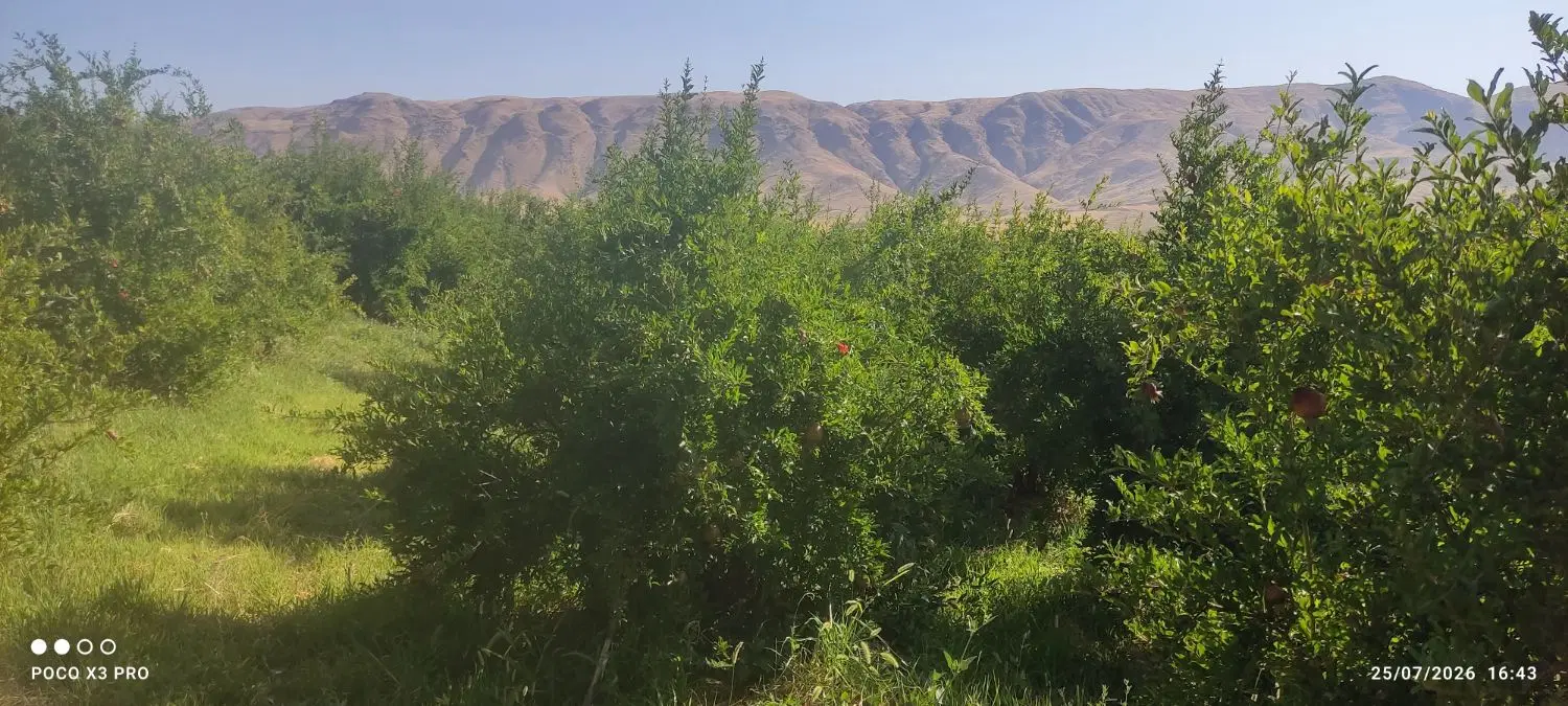زمین فاز3فرهنگیان