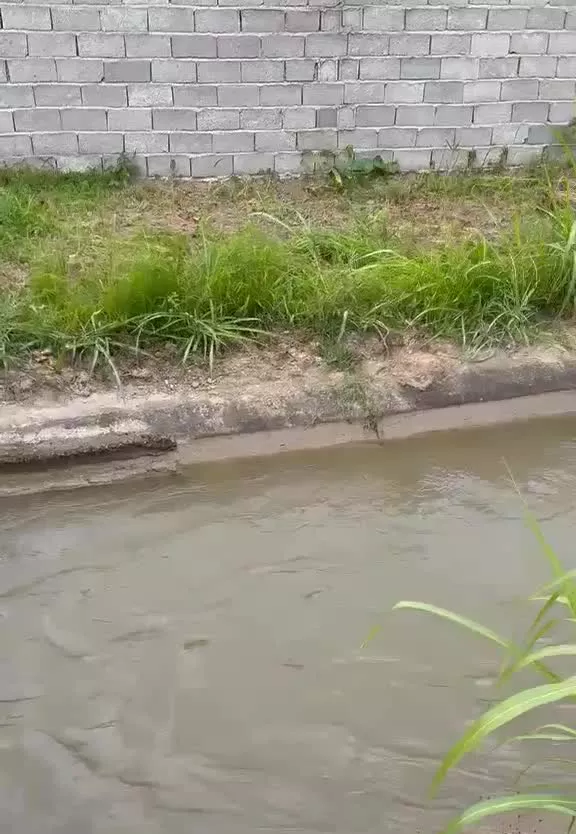 زمین مسکونی سند دار مناسب ویلا سازی