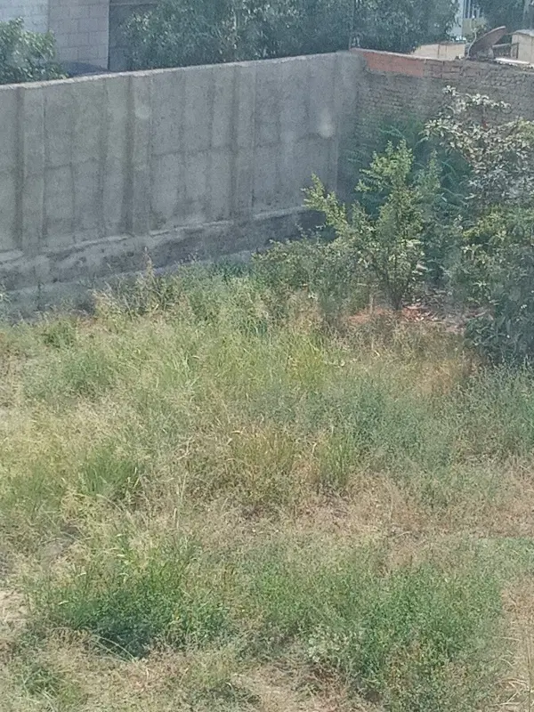 سلام‌زمین‌۱۵۵