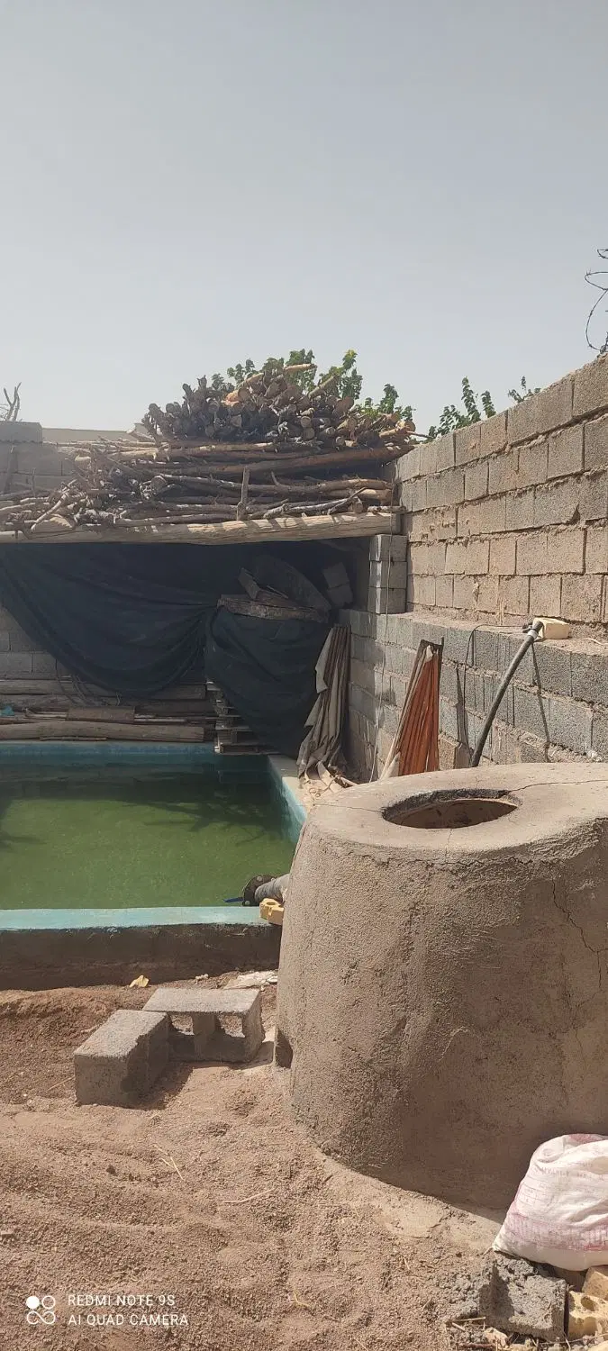 باغچه کوچک