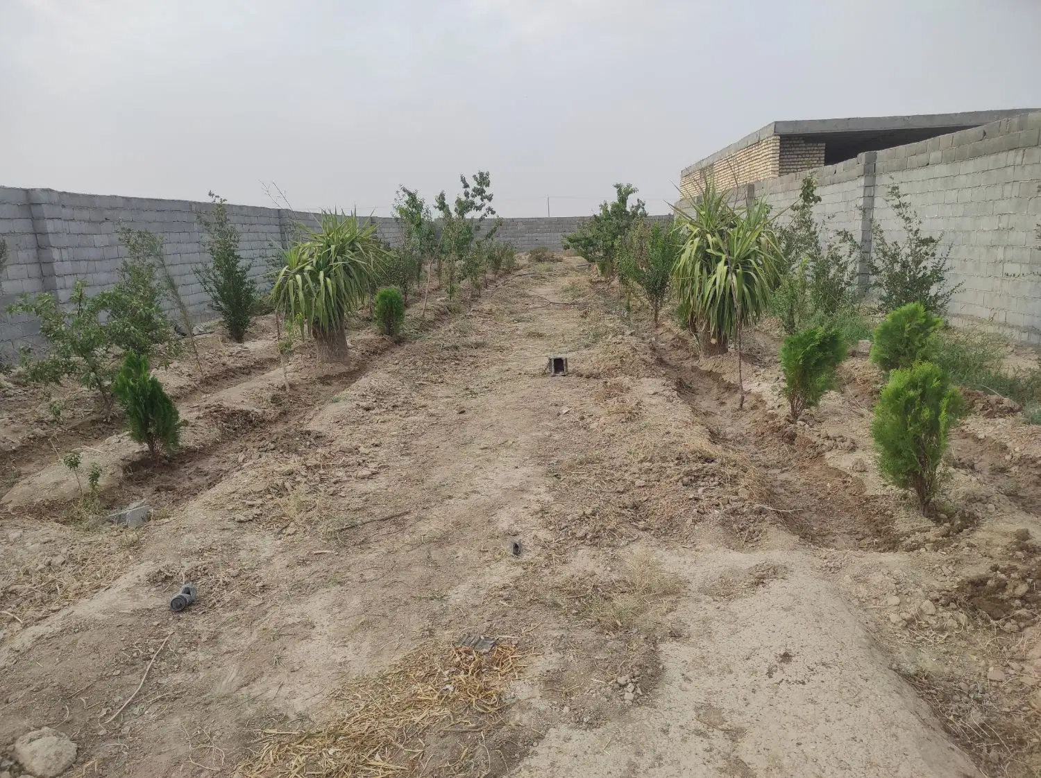 باغ چهار دیواری اسپارت