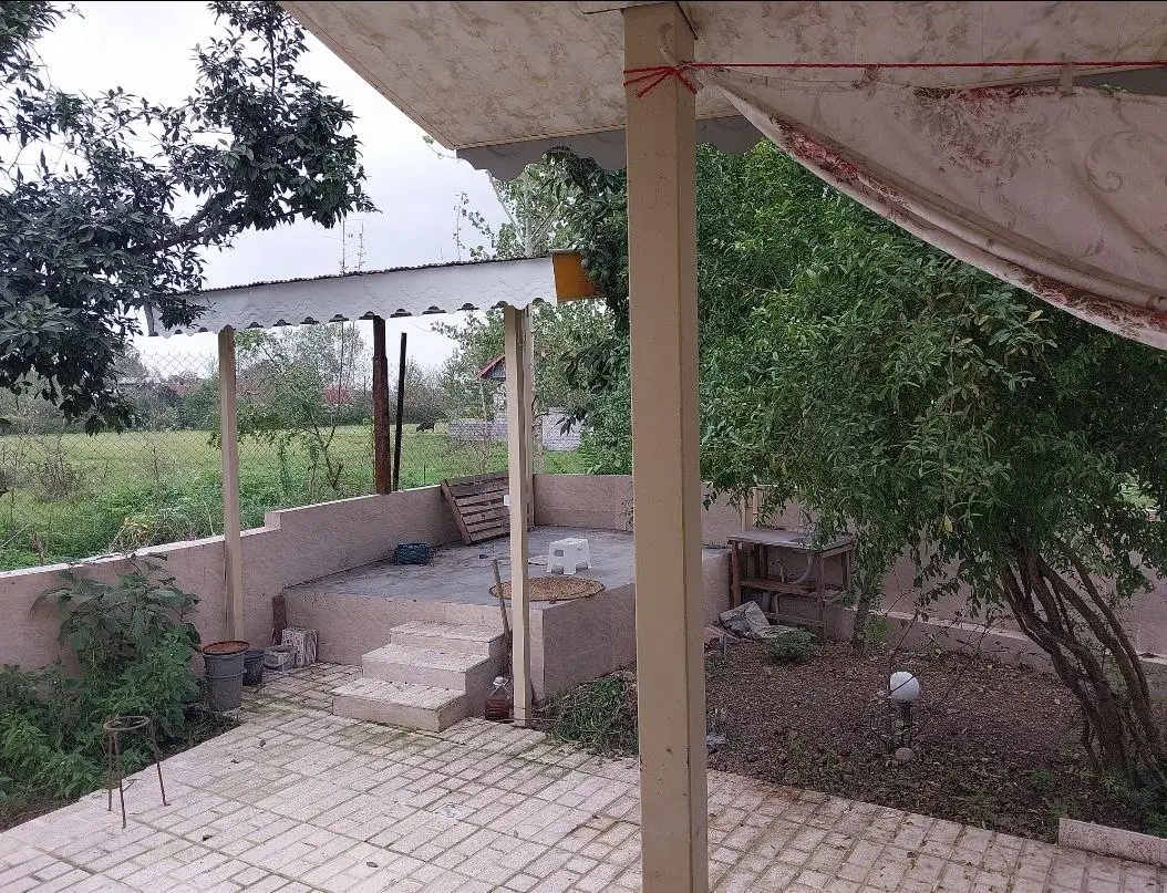 روزانه مستقل