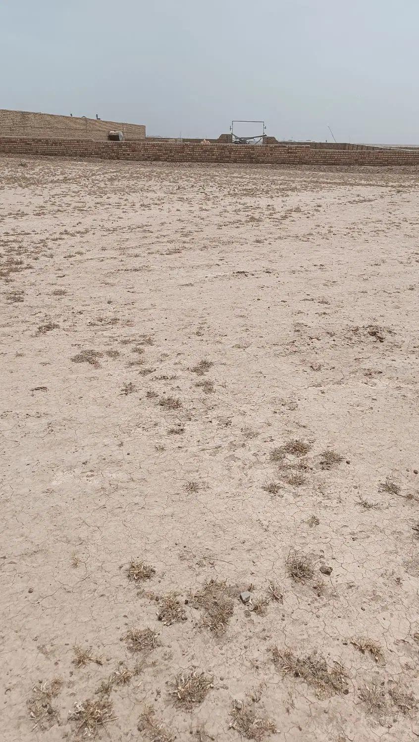 زمین 630 در روستای حسین آباد رضی