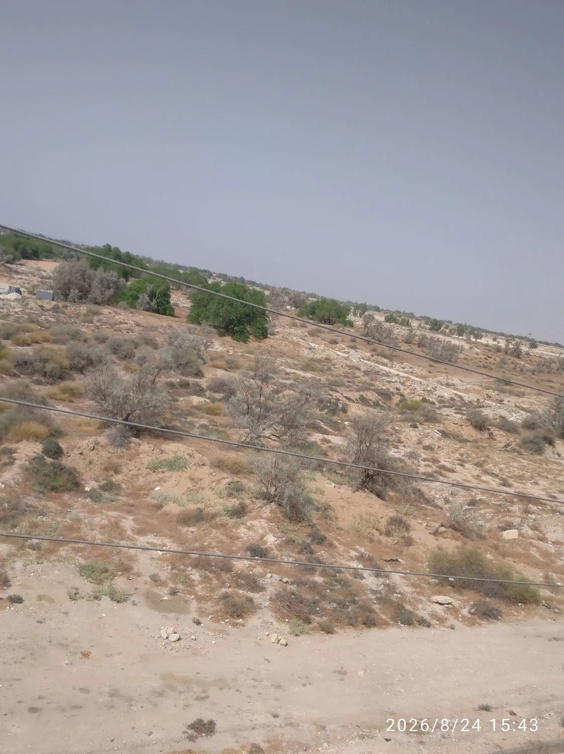 ۱۰۰مترتجاری گورک