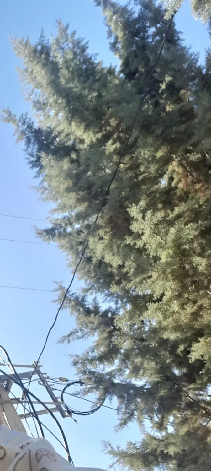 امامزاده ۱۰۲۰متر قراجلر