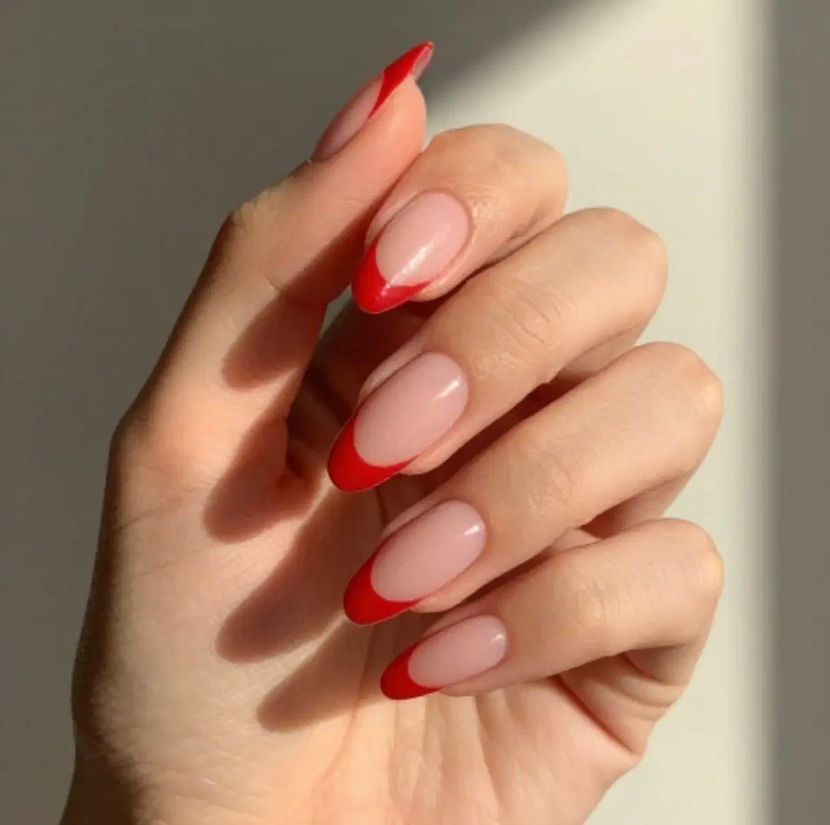 اجاره لاین ناخن