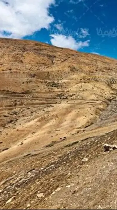 زمین دیم سهامی