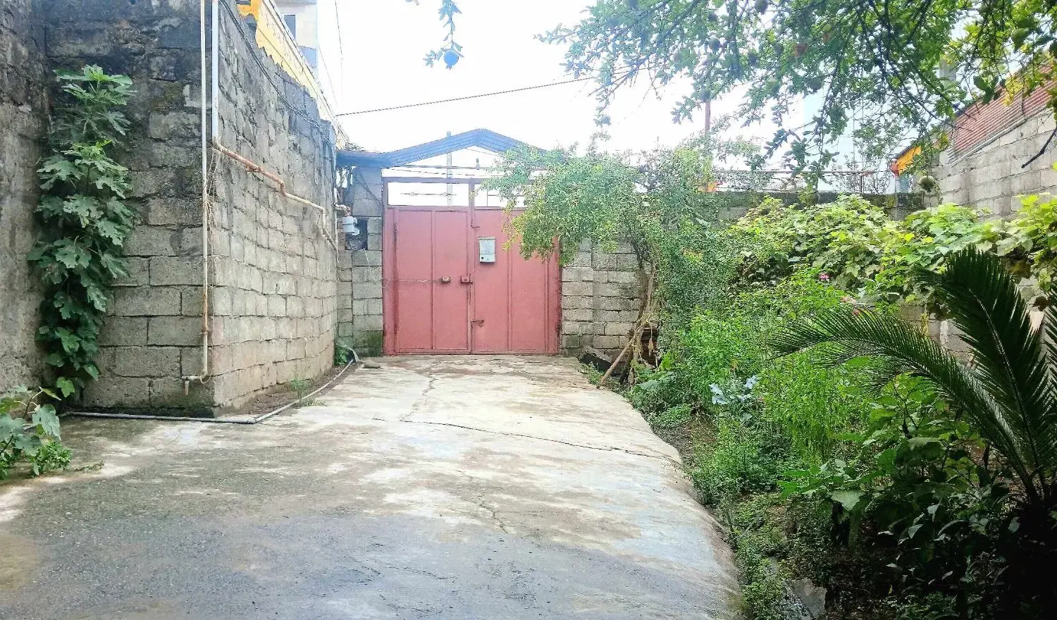 اجاره  روزانه ویلای ساحلی گل میخک