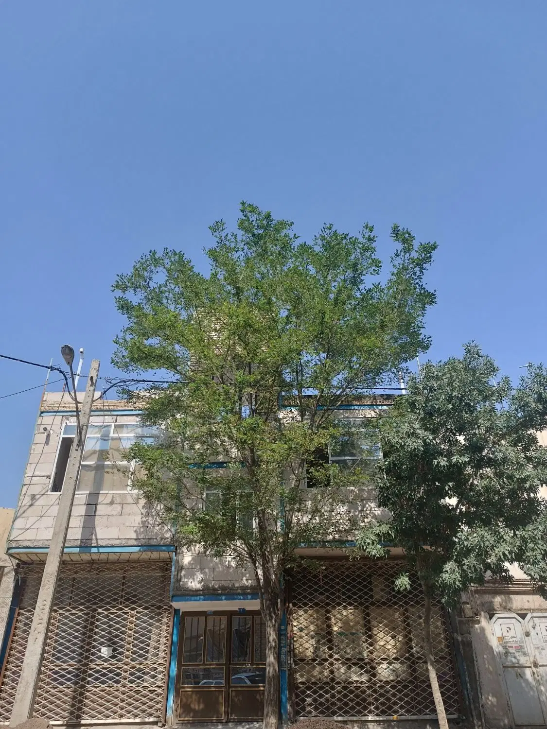 مغازه 20متری