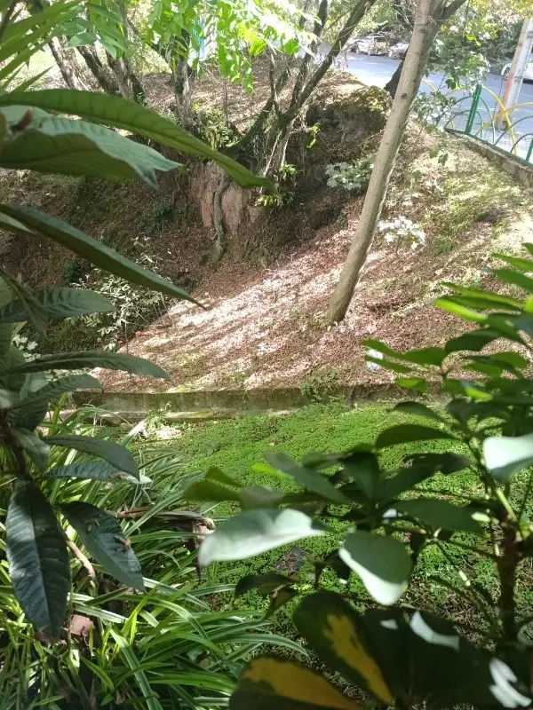 فروش زمین