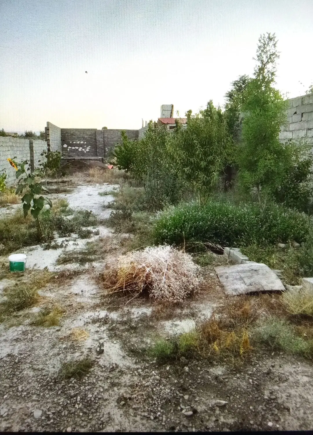 زمین باغی متراژ 500