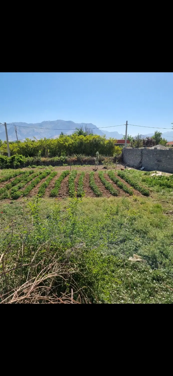 زمین سه کله بر