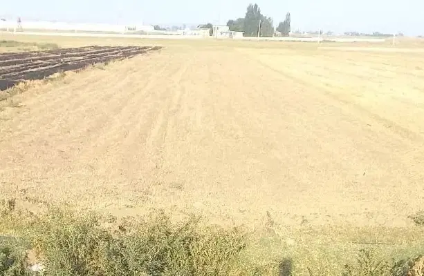 زمین کشاورزی حاصلخیز جهت احداث گلخانه وباغ