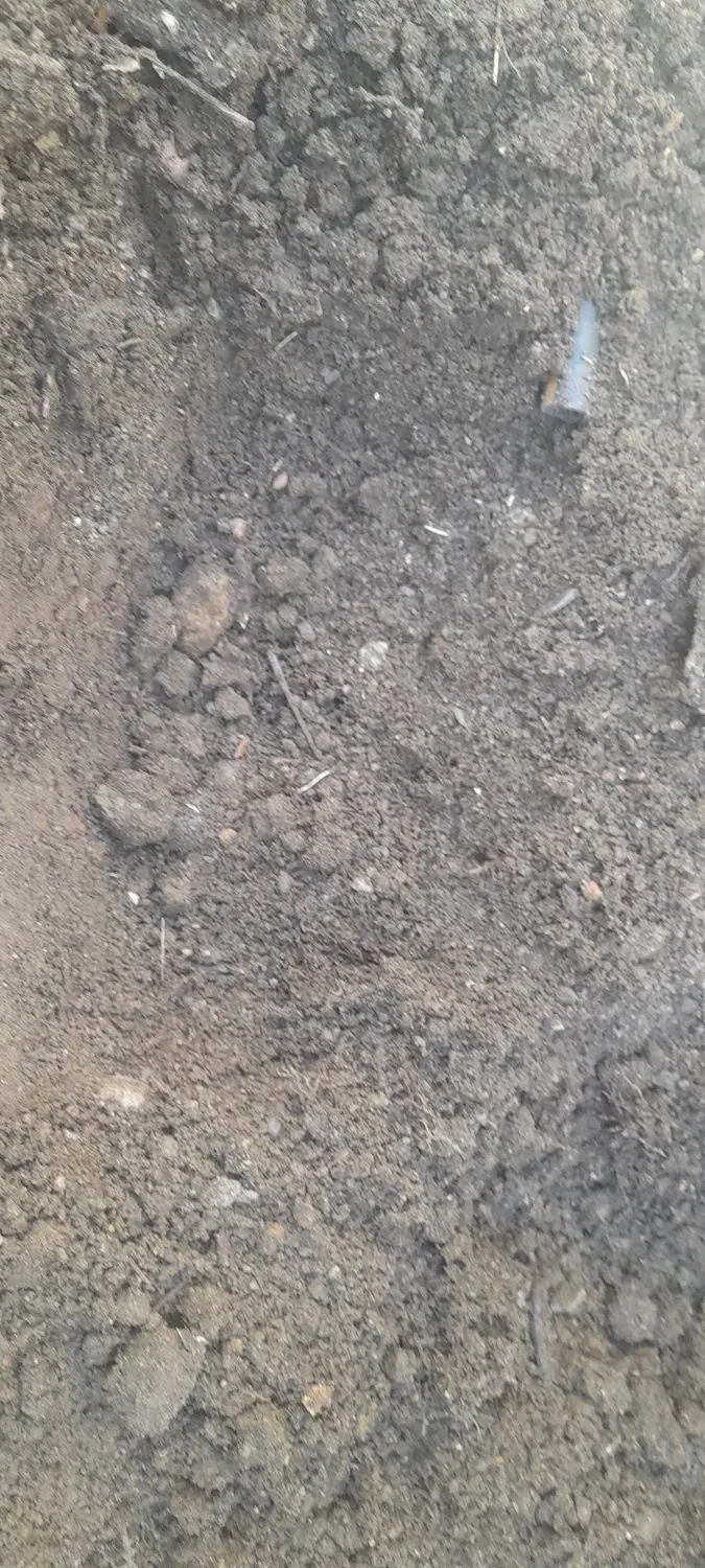 زمین شهرک بهارستان برخیابان ۲۰متری
