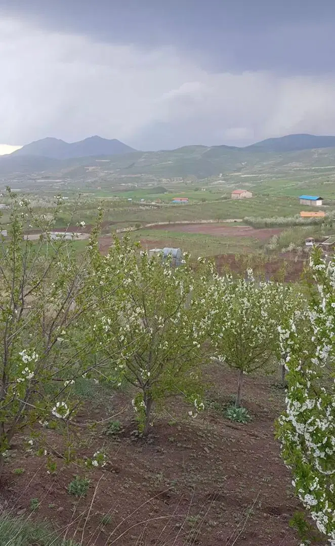 فروش زمین تجاری ۱۰۰متری روستای تراتن