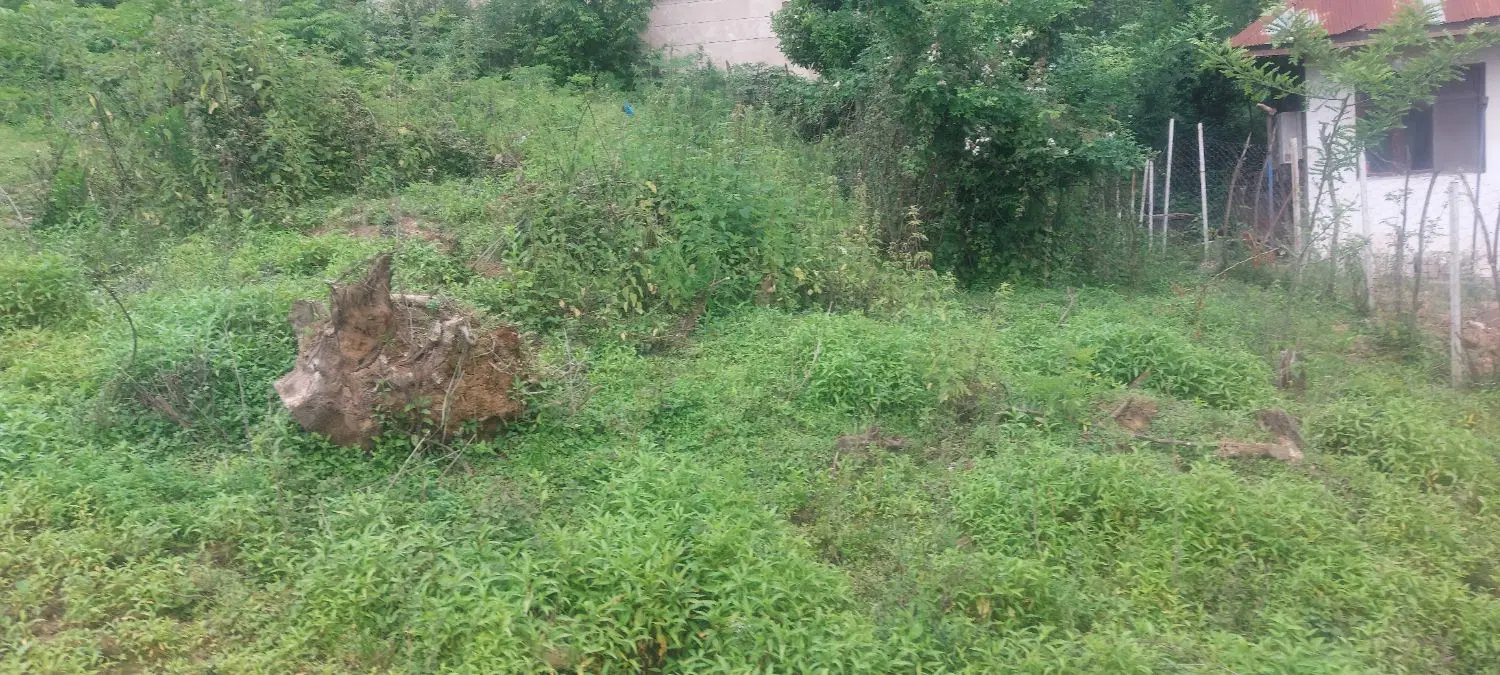 زمین