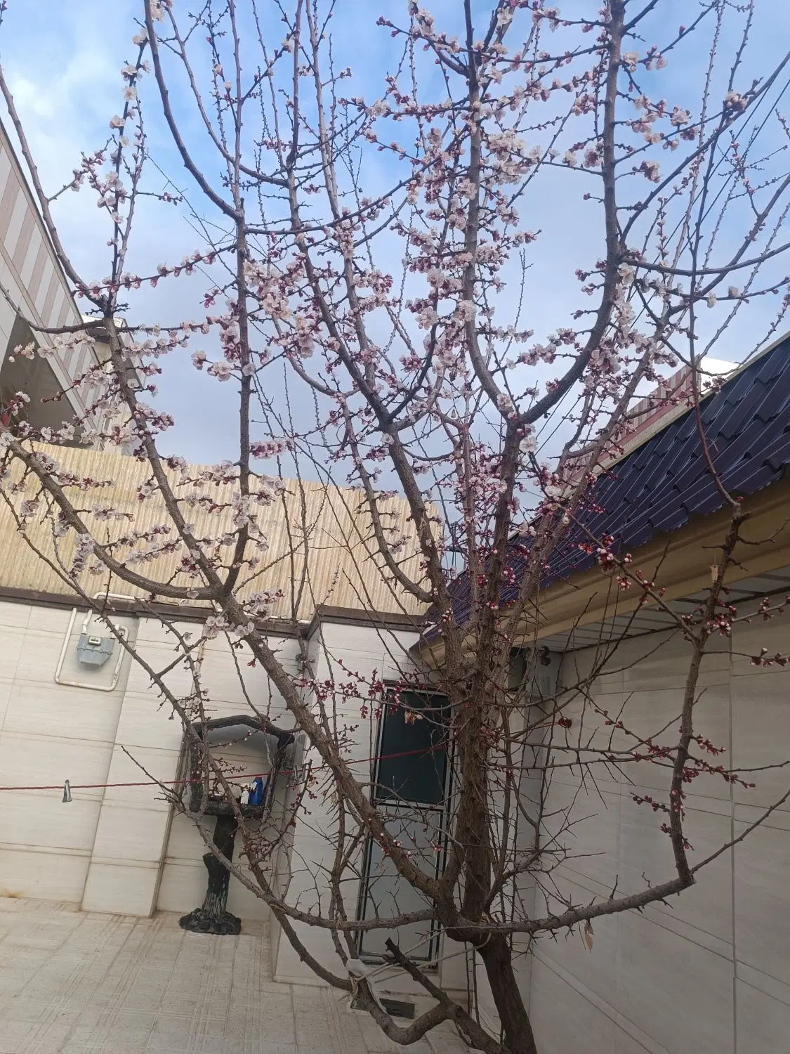 واحد ویلایی کوچک ومستقل راه جدا