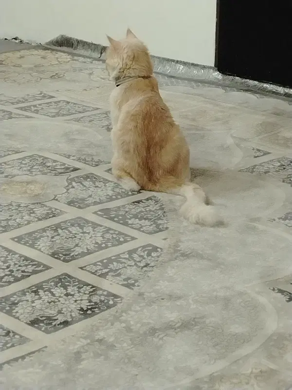 ۹۵متری ثامن