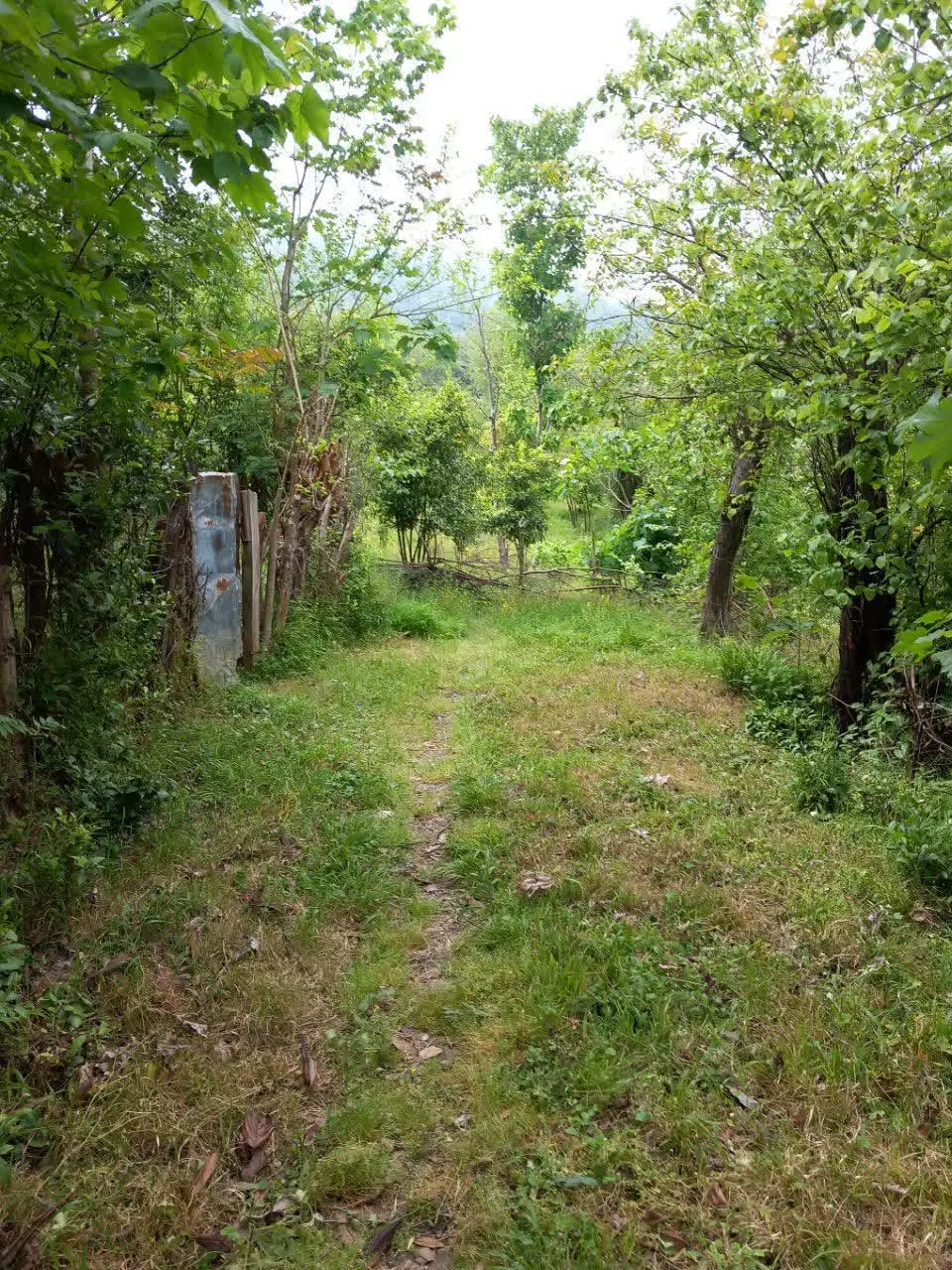 ۱۱۰۰ متر با سند تک‌برگ شیشدانگ