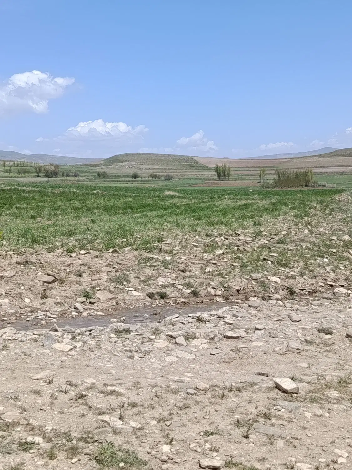 زمین