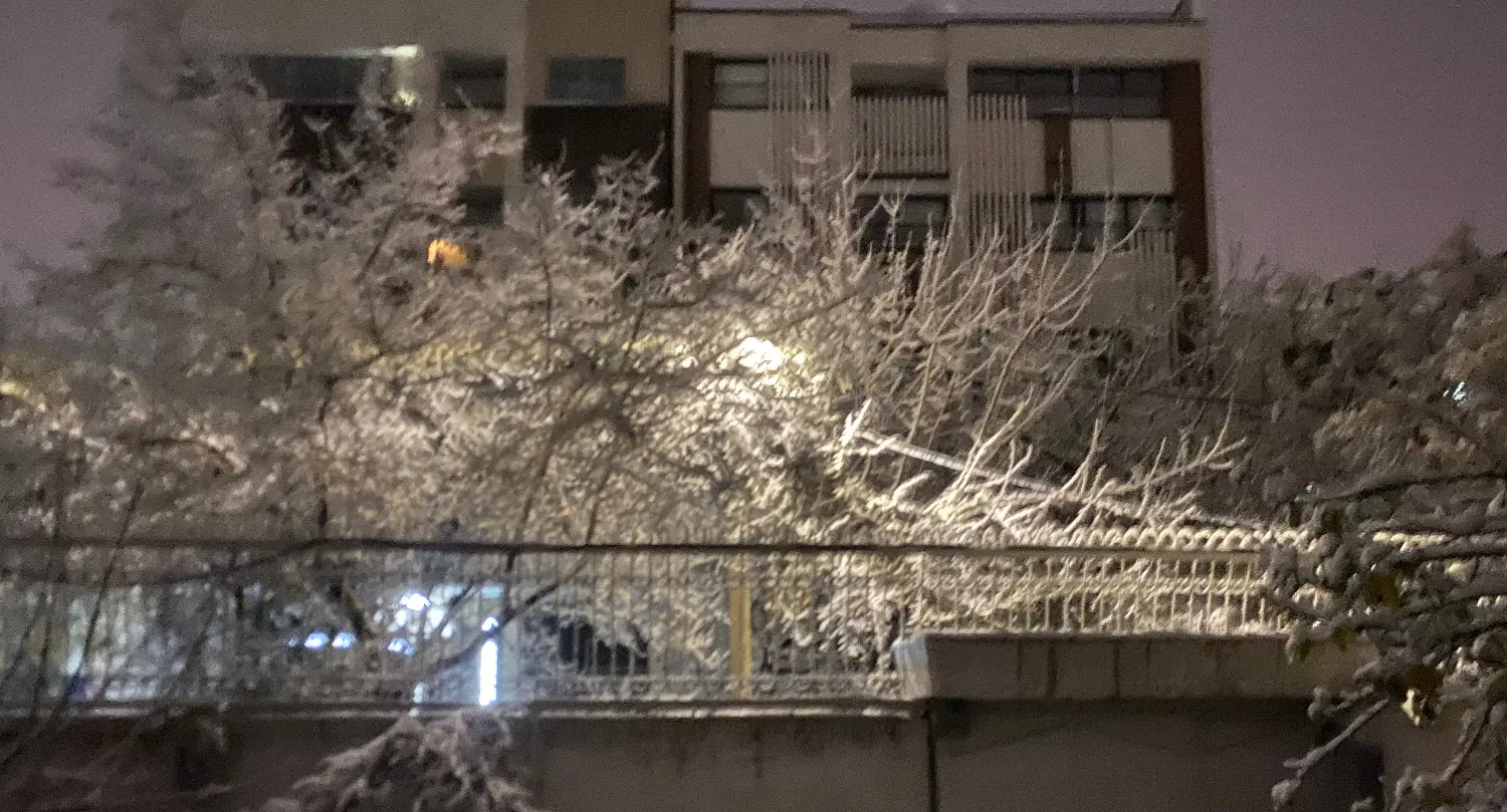 عرض 11.70 فضای سرسبز پلاک سوم خیابان مناسب اداری