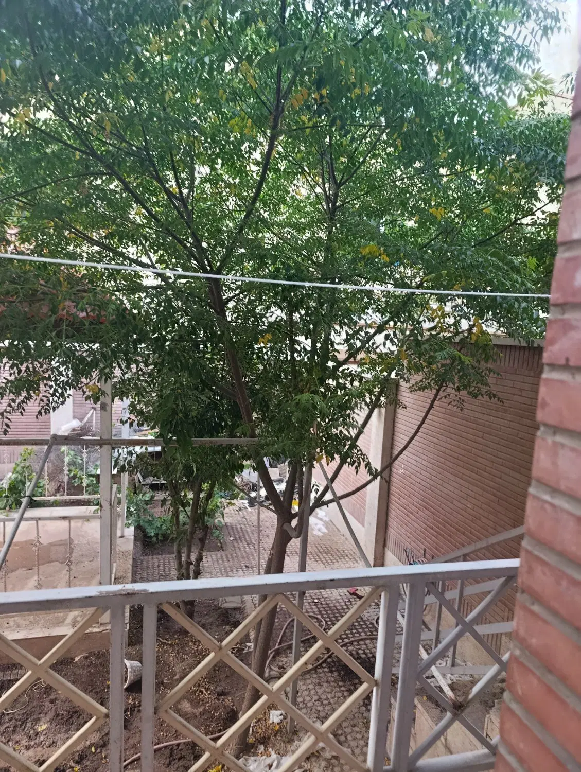 اجاره ویلایی۳۰۰متری و مشاعی جنوبی همکف