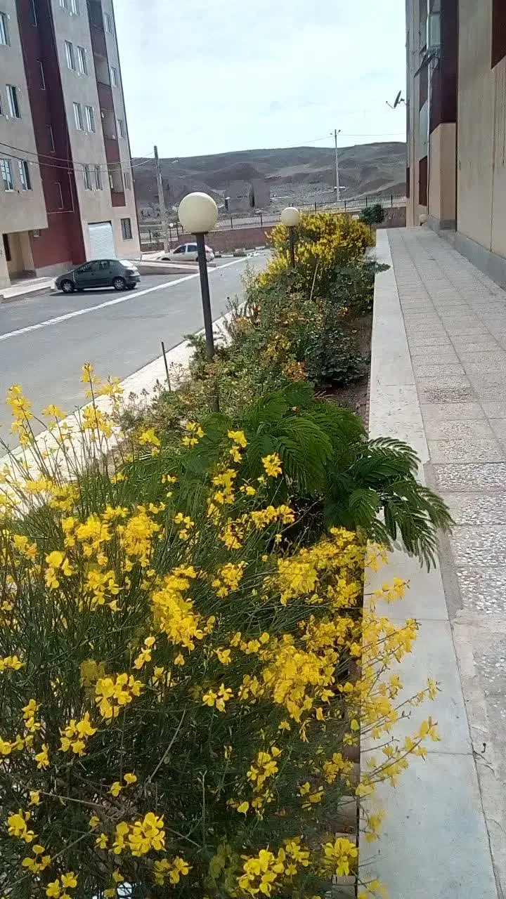 آپارتمان 80متری فاز 5 پروژه نیلوفر