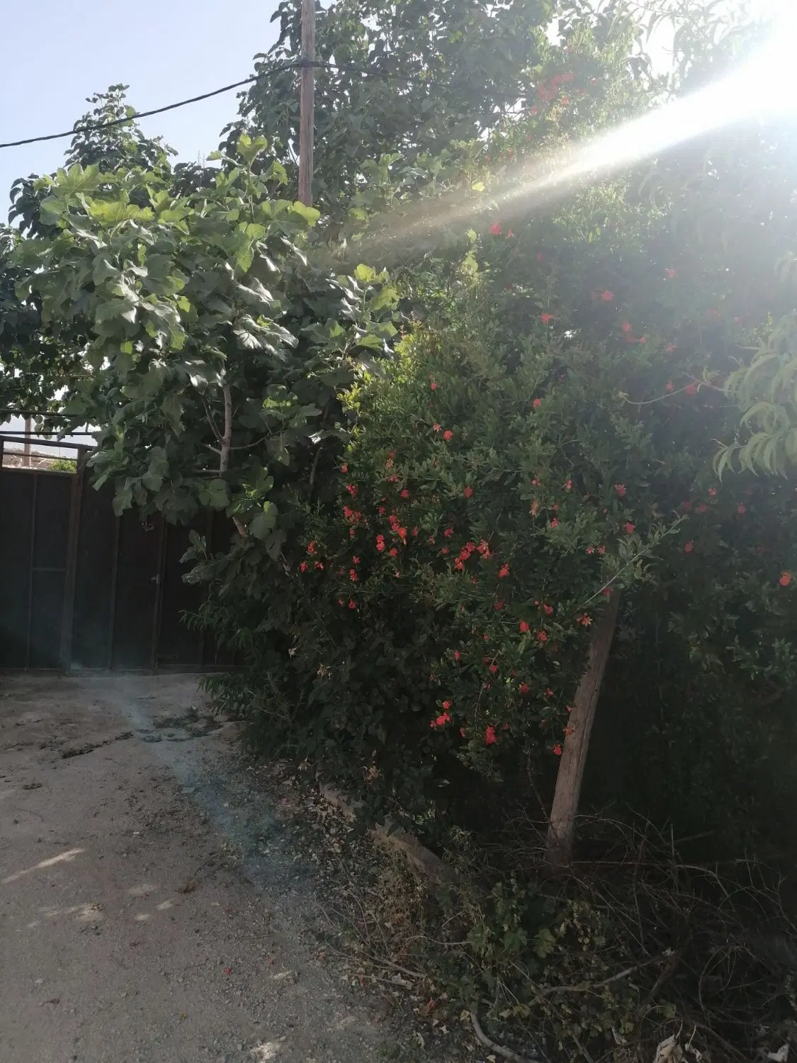 خانه