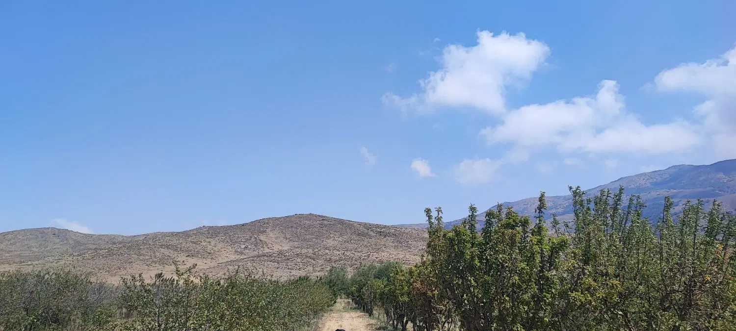 فروش یا معاوظه باغ