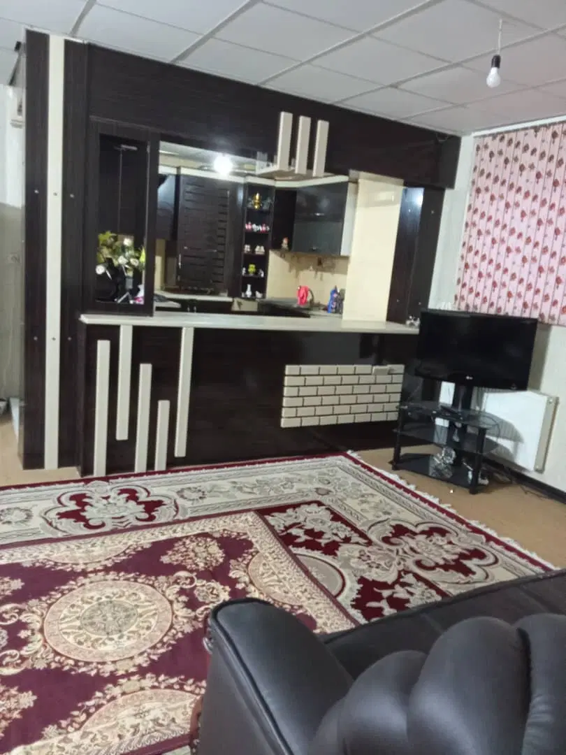 فروش آپارتمان ارگ۲ صدرا