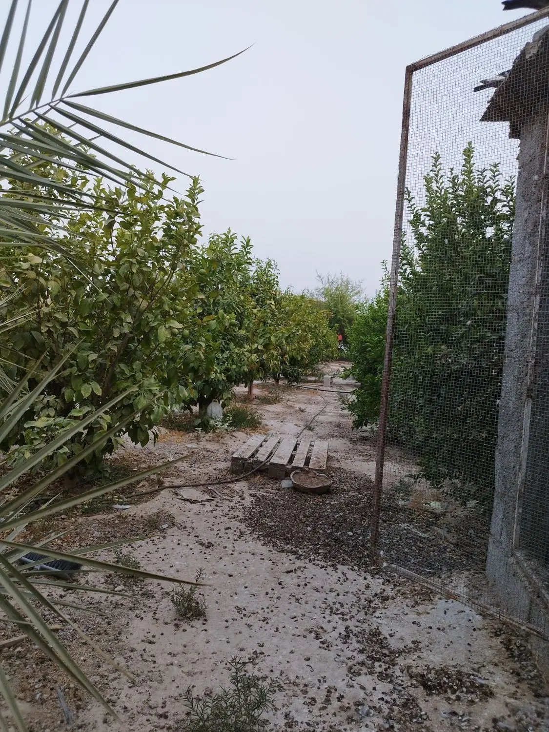 فروش خانه باغ