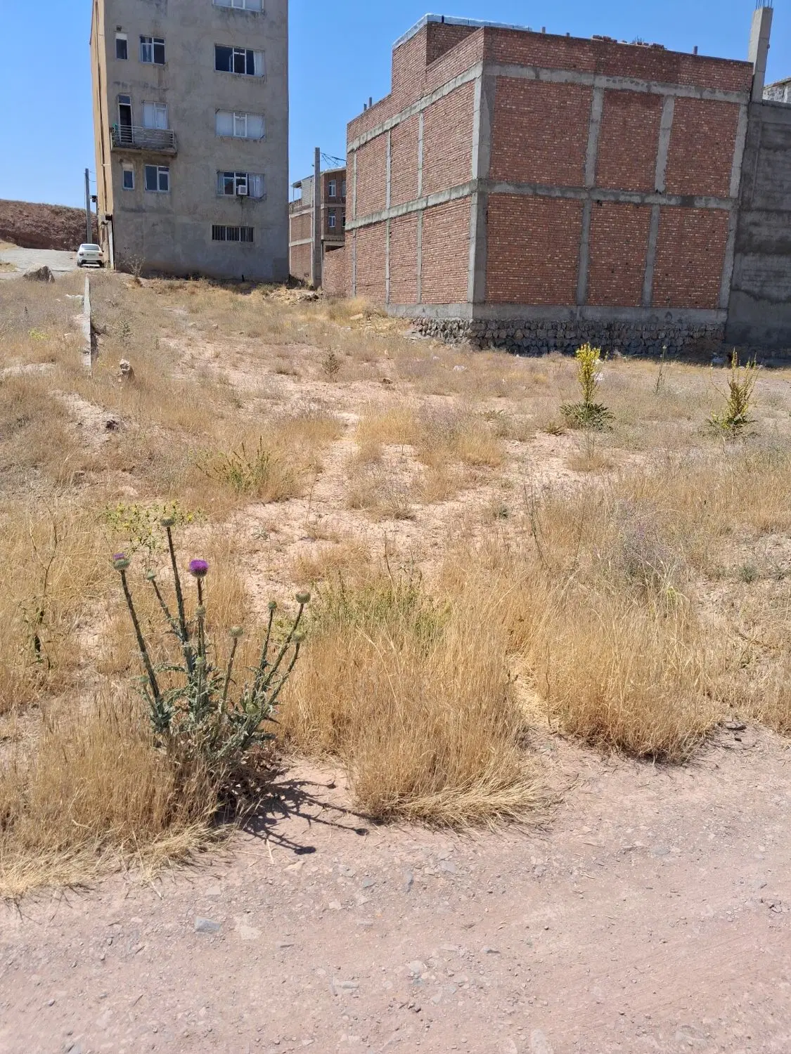 زمین مسکونی سند دار