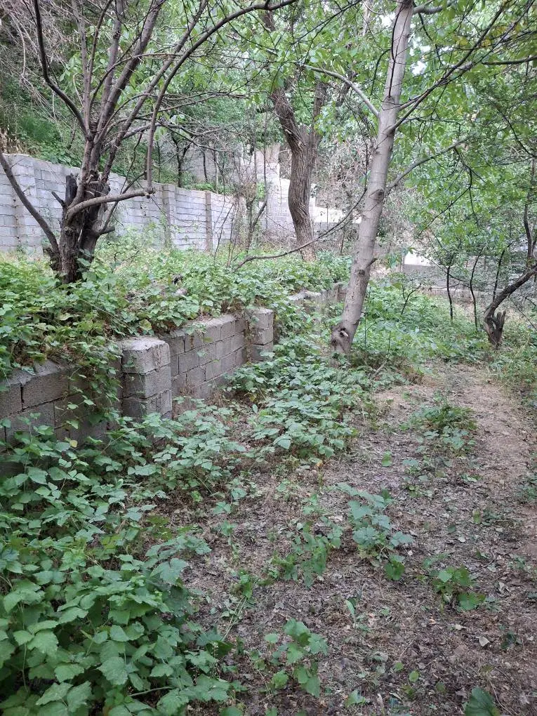 ۲۱۸ متر زمین در روستای برگ جهان لواسان