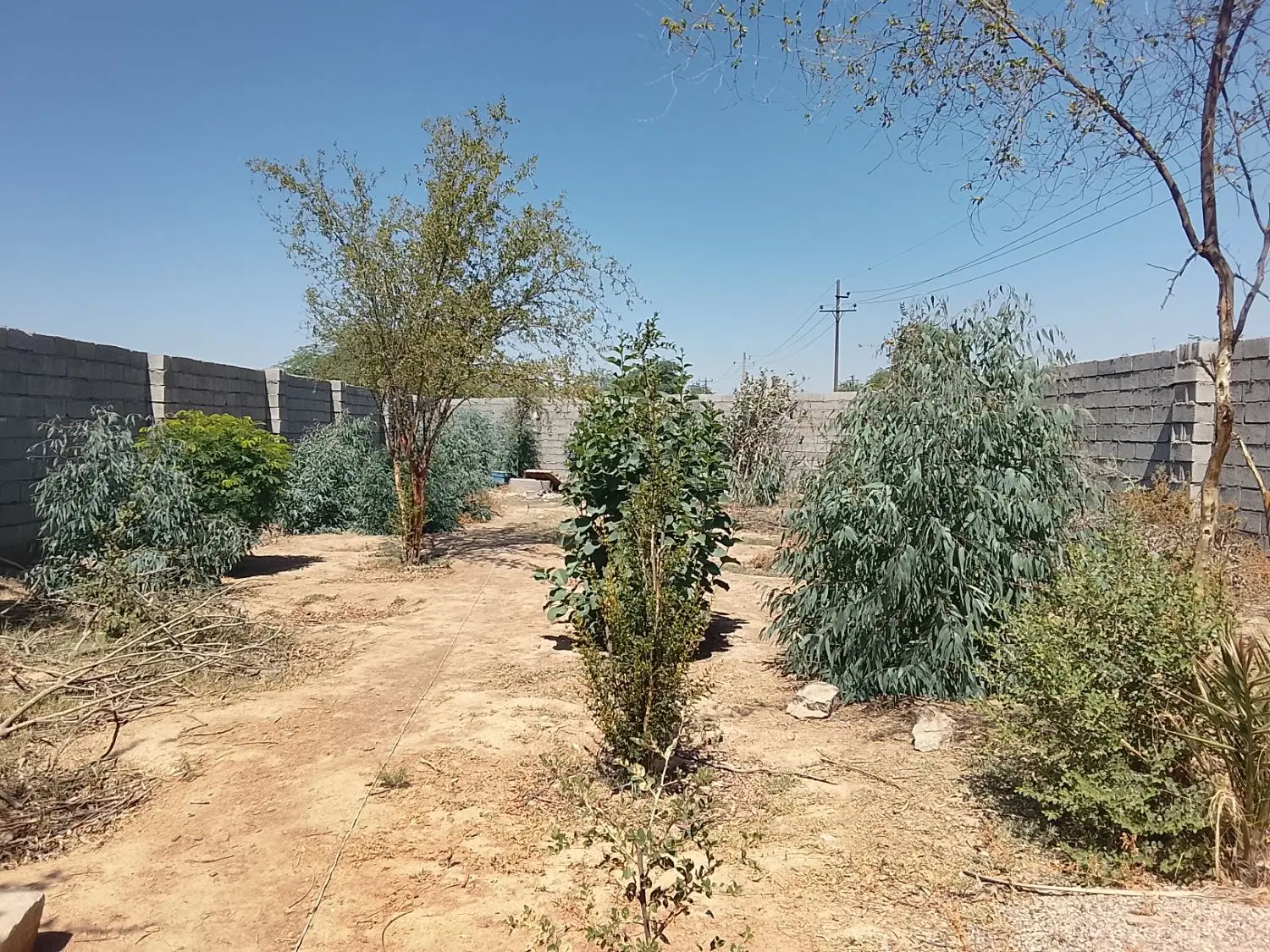 زمین باغ ویلا