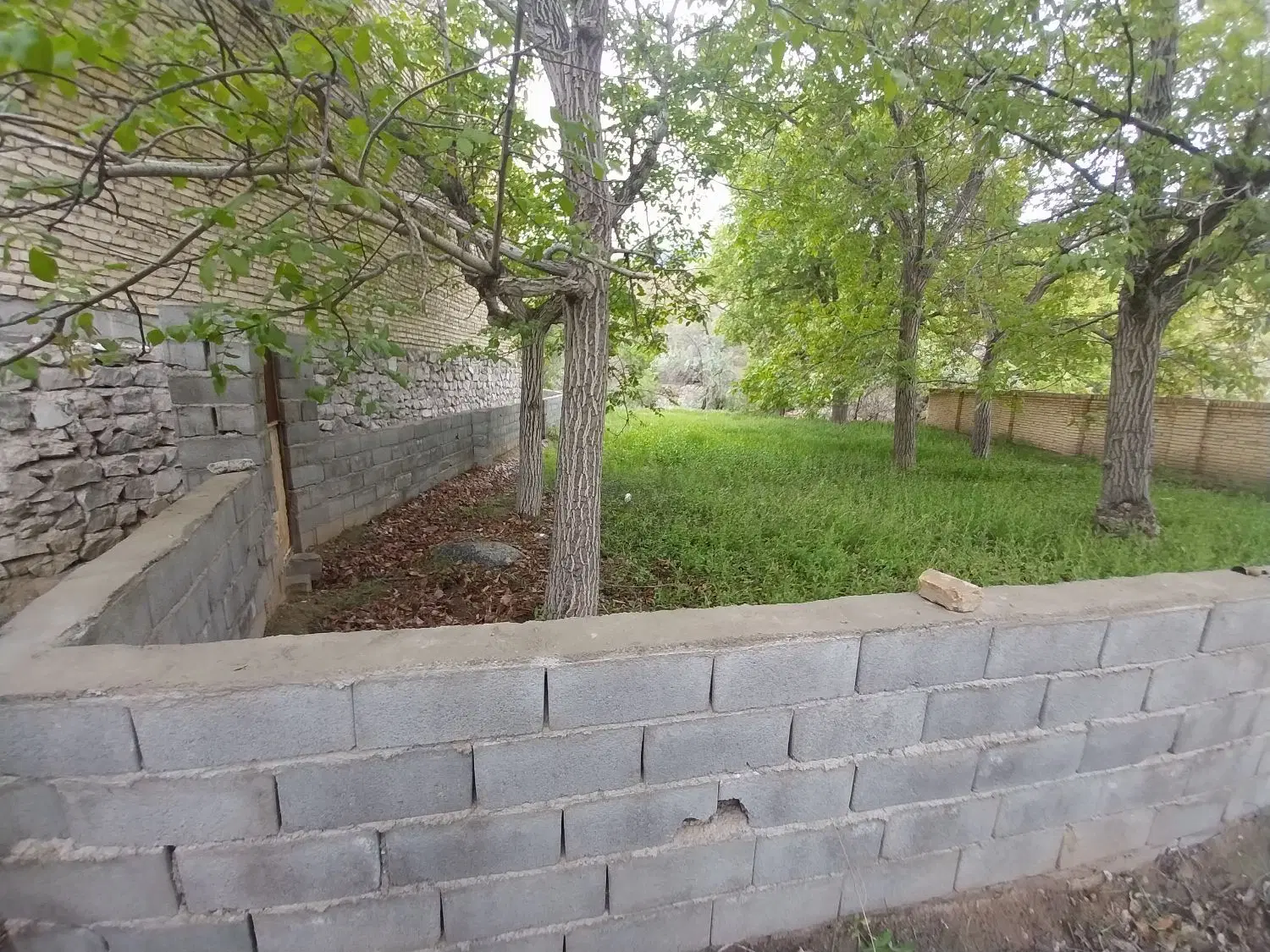 زمین سند تکبرگ بنادک سادات