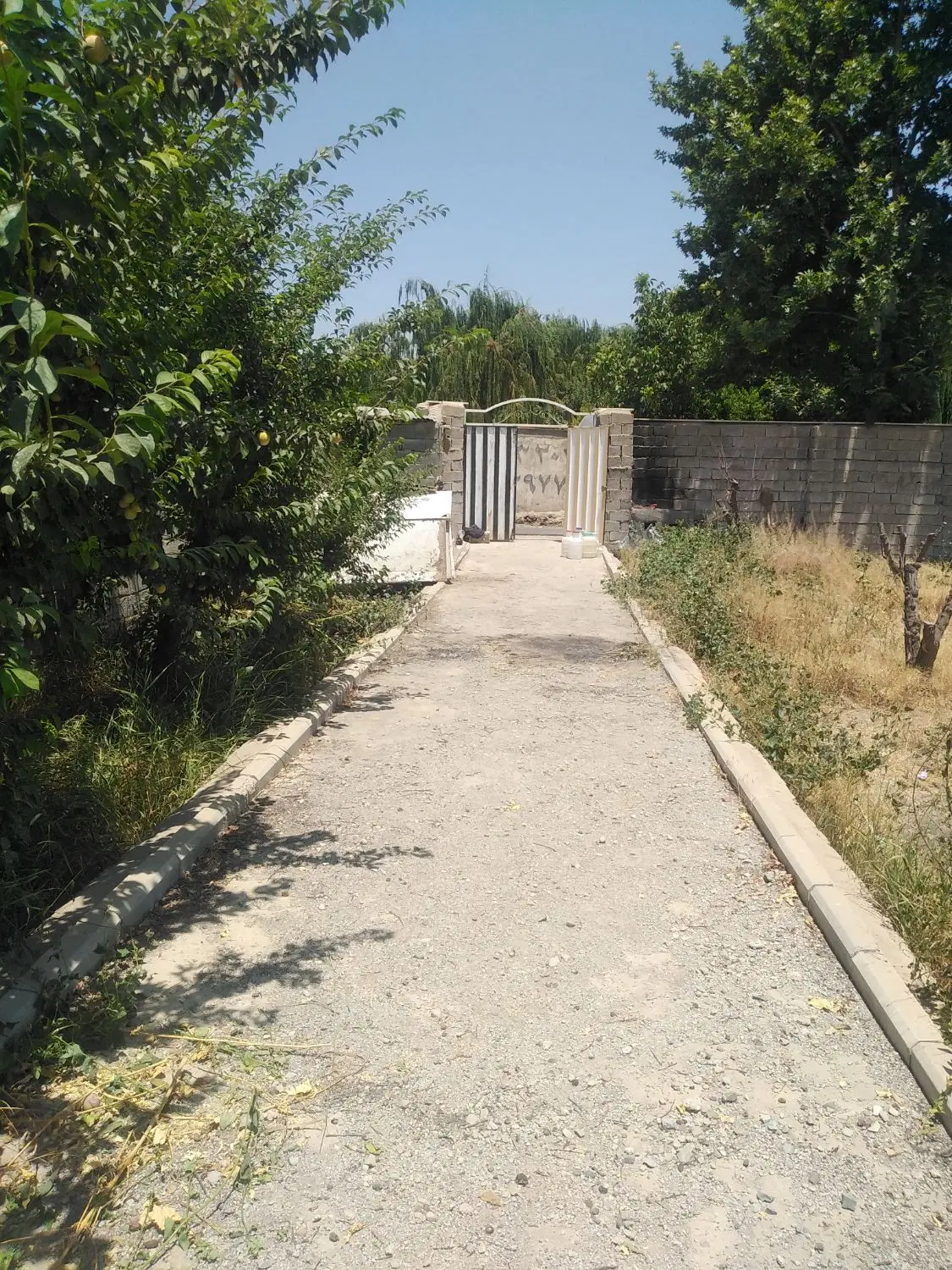 اجاره باغ چهاردیواری