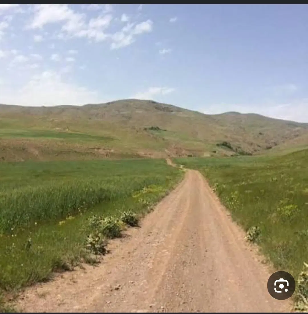 زمین کشاورزی