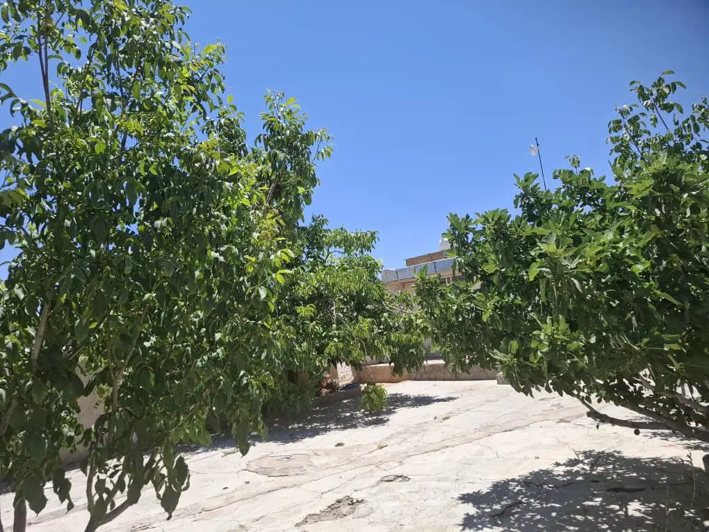 زمین مسکونی کرونی