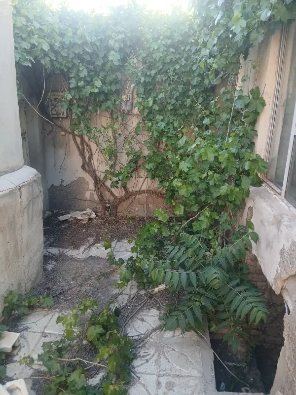 حیاط کلنگی