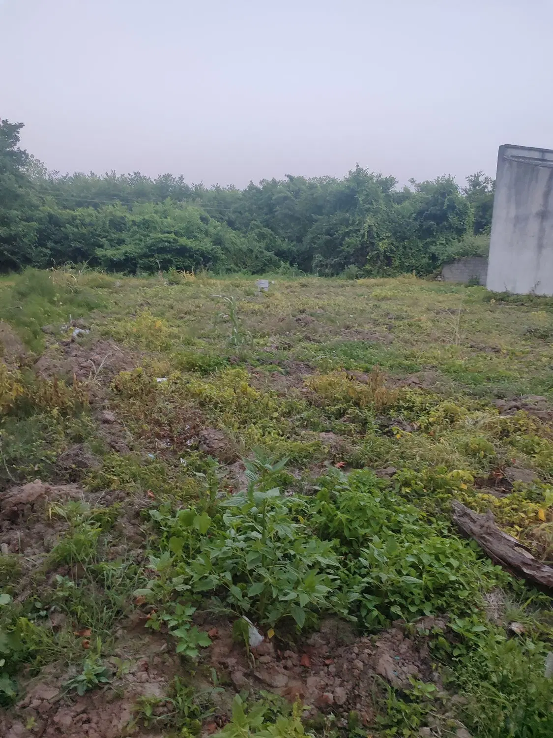 فروش زمین مسکونی تجاری
