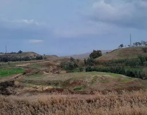 زمین زراعی واقع در شهر قصر شیرین. فروش یا اجاره