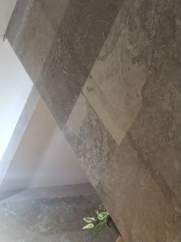 خونه کمال الملک
