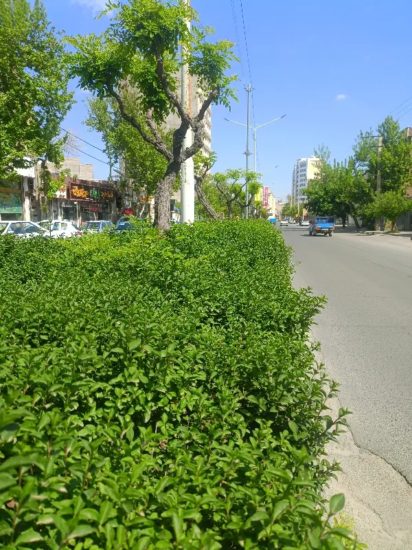 فروش مغازه