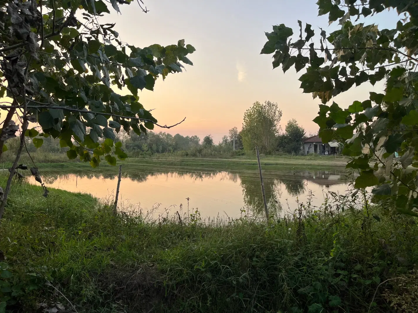 زمین مسکونی