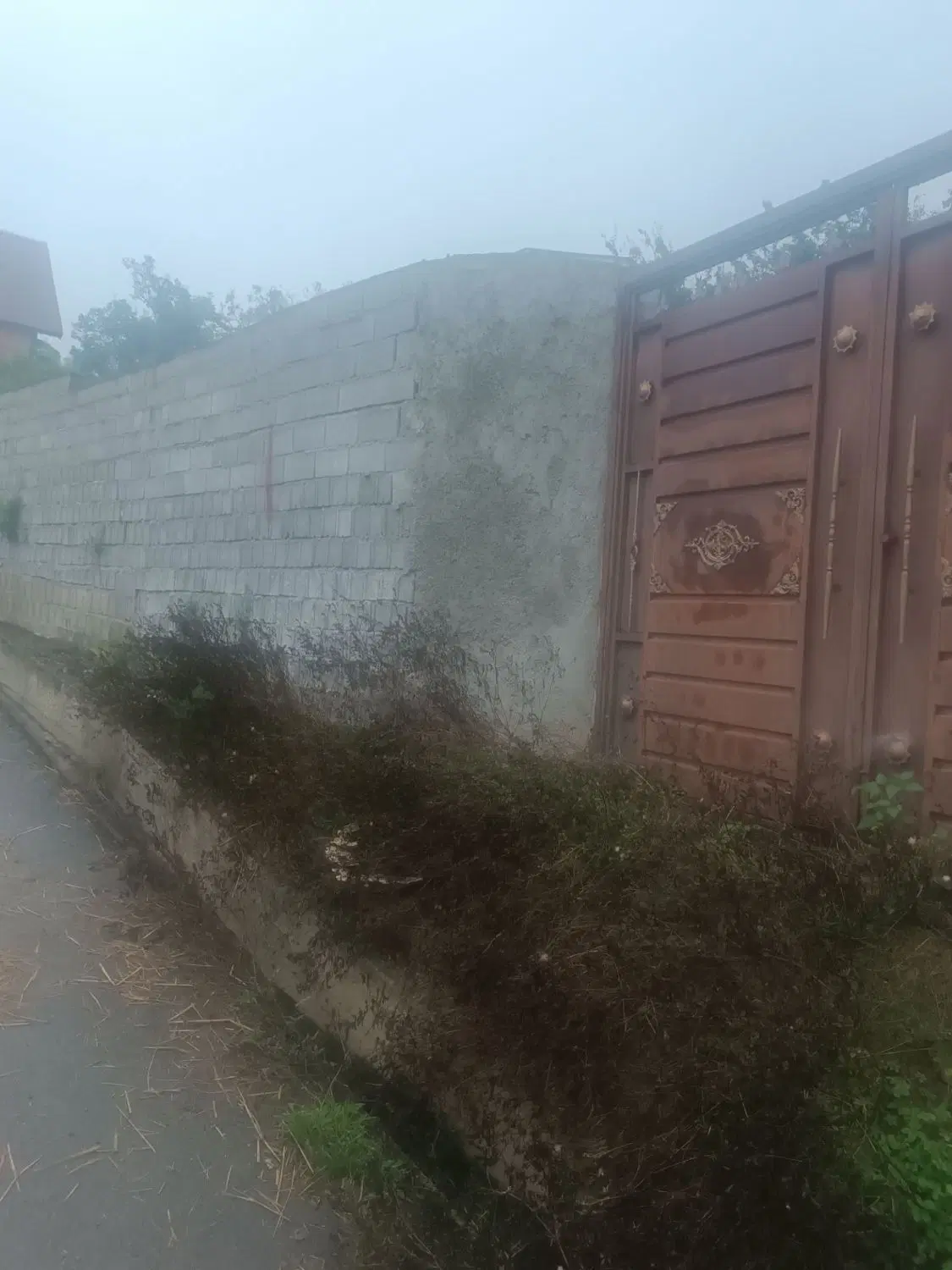 730متر زمین دماوند چنار شرق اشنه در